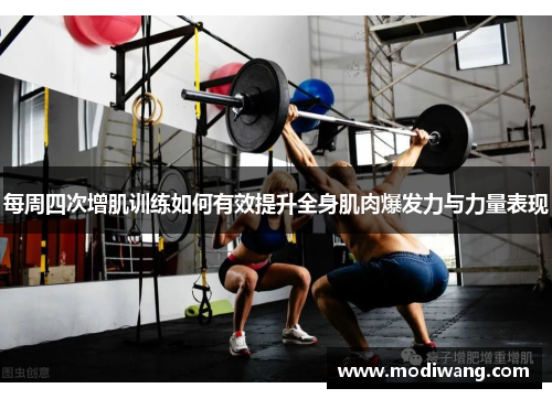 每周四次增肌训练如何有效提升全身肌肉爆发力与力量表现