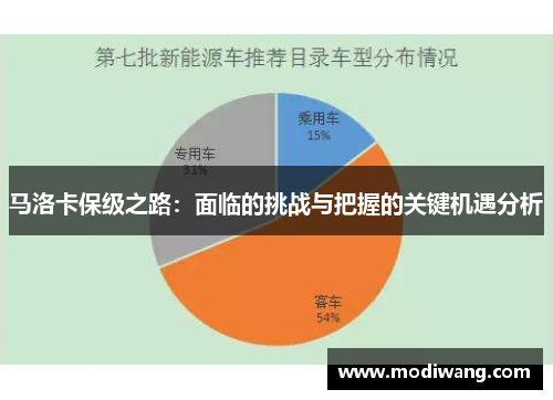马洛卡保级之路：面临的挑战与把握的关键机遇分析